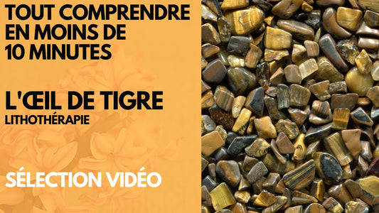 Nouvelle chaîne Youtube! Quintessence Media