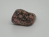 Jaspe léopard pierre roulée magnétisée